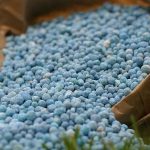 1552814398 1552814383 1552488969 untitled 1 recovered