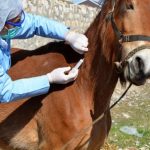 6964a852 e17c 47dc befc a7bd55eee840