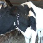 C844af4b cc5d 4c04 a56d abbeb2897b45