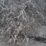 34e80e34 90ca 4fce 8445 63dac5c13525