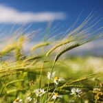 403f20ed d307 4ff4 a24e 96da5717e945