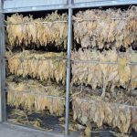 49aa8bff 401a 4d9e bb9d 04a035538826