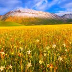 84863ab4 e679 4c70 adb0 39f52707c31f