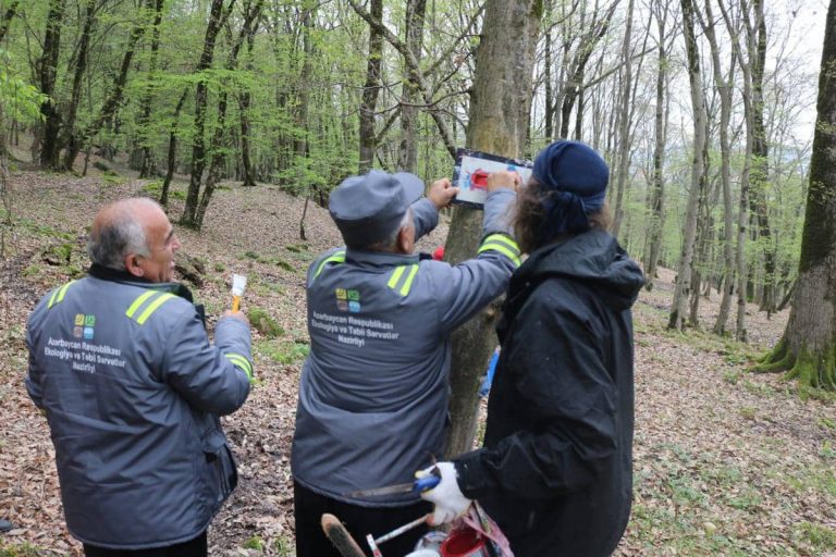 Azerbaycan cexiya 110419