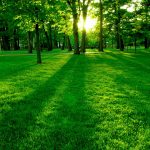 0a096252 15db 4269 a516 93bebd3e2a01