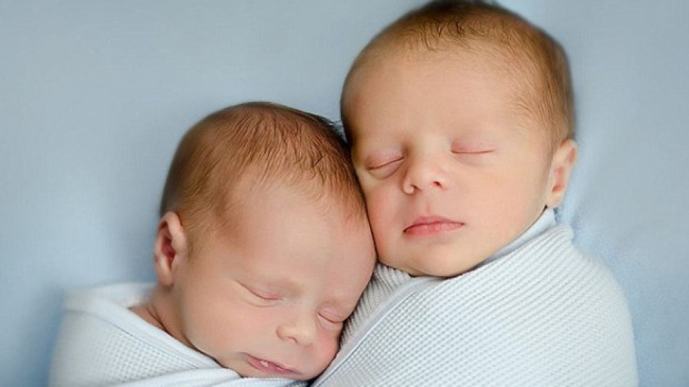 14733148564691713517 1000x669