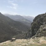 1557298323 a51557297551