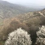 1557298396 a61557297551