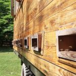 15582578743533221144 1000x669