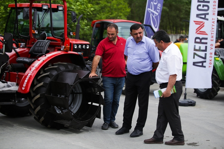 15589603814705114084 750x500