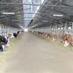 15591999806414759750 1000x669