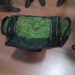 1d26f57f 1b2d 4876 9271 21ff31c4bea6