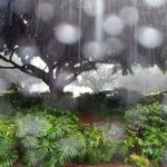 4c8ba54d 5df9 4d16 bf2b eabb44010636