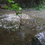 685efe72 05b3 47a4 99fd 5aad0d978000