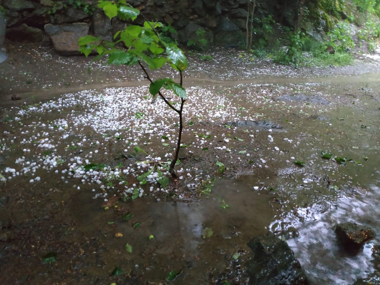 685efe72 05b3 47a4 99fd 5aad0d978000