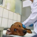 85a3e0c2 171a 4fc2 b9c1 c1c945a9569a