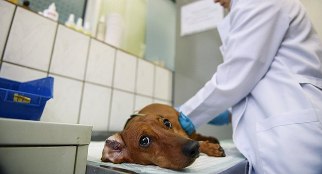 85a3e0c2 171a 4fc2 b9c1 c1c945a9569a