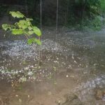 A198eba0 d9c9 4282 b9ab 41a6489c3aee