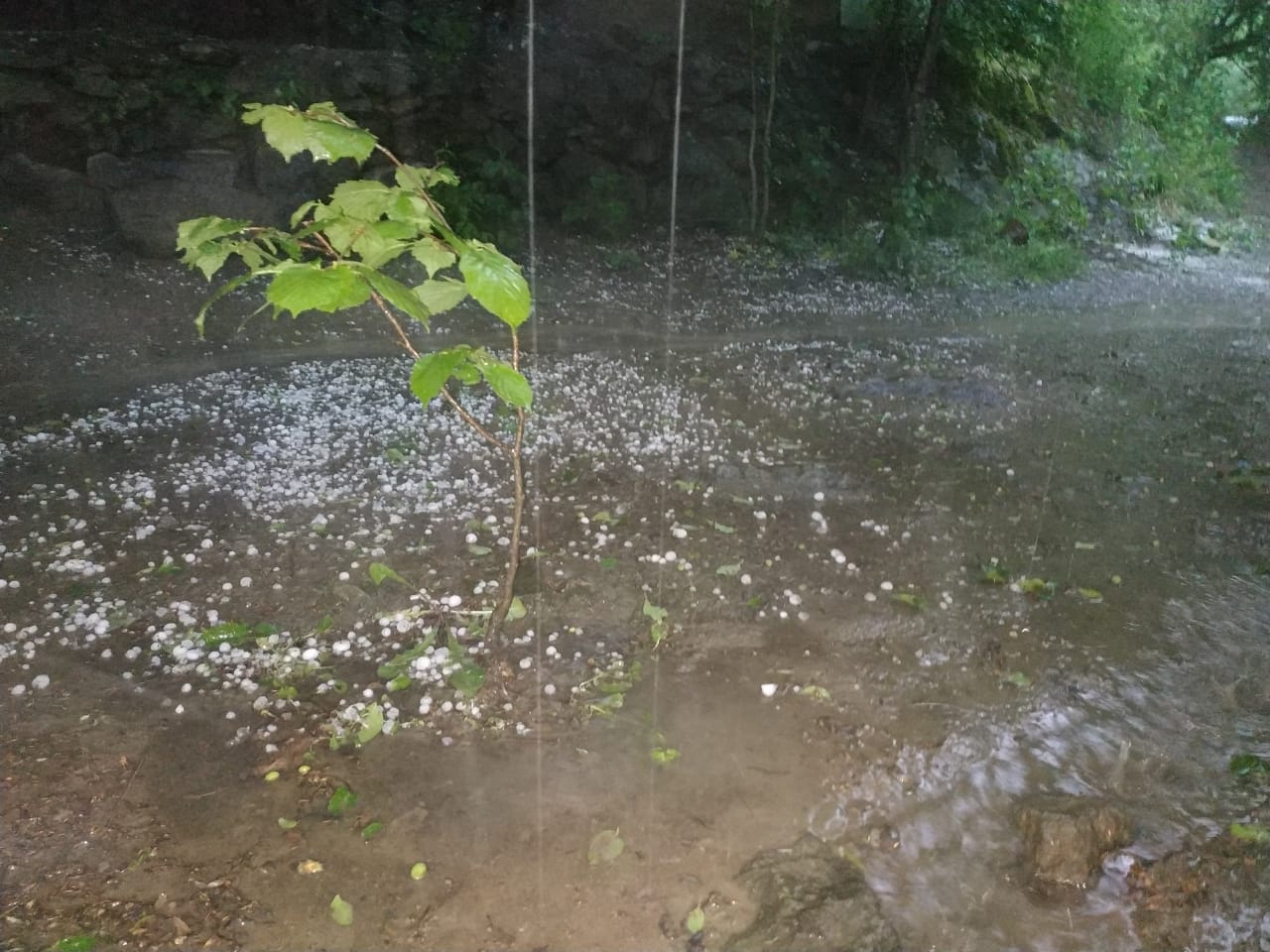 A198eba0 d9c9 4282 b9ab 41a6489c3aee