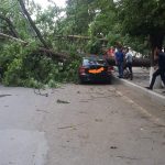 A3fb6b29 76bf 401c 93f9 27699e0405b3