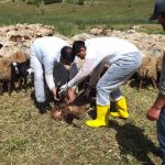 B6fe3b6e c242 4ff2 95ae 57b7a4a05c34