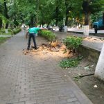 Eb4e8546 2d97 4e8f b0c5 f11dd4e46887