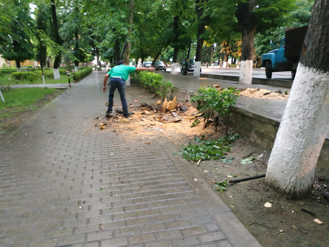 Eb4e8546 2d97 4e8f b0c5 f11dd4e46887