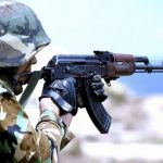 15601475953693722180 750x500