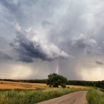 19c943e7 f099 4578 9c0a 6b2ad1d976a6