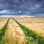 1fdeef86 69d5 4413 9461 dafe27d1c111