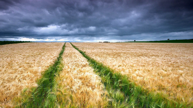 1fdeef86 69d5 4413 9461 dafe27d1c111