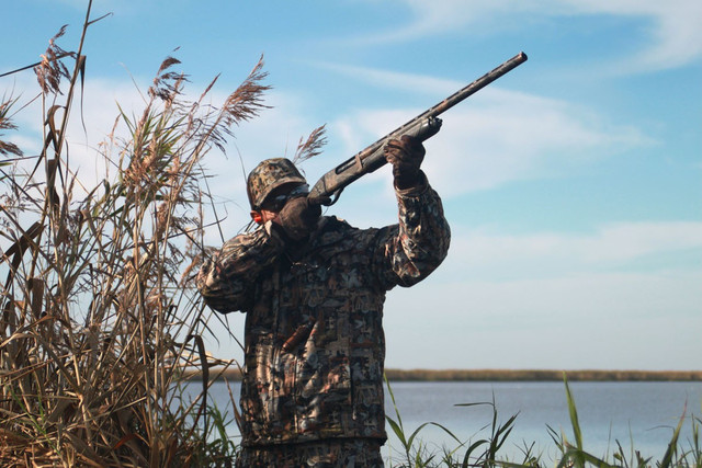 4226c06d 80b6 4e61 938f bfacea7be73d