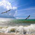 488a14a4 87f0 4921 99ba b0c4f9169972