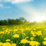 782f9f9d 30e4 4938 8cff 42b7363e6748