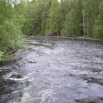 River 100708 (1)