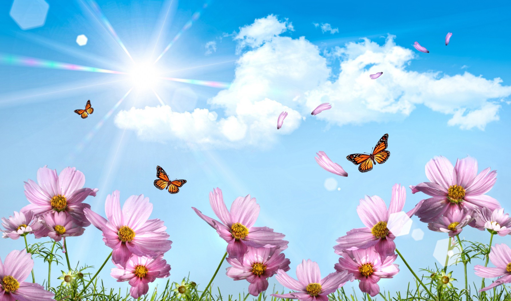 D9fb583a e0bd 4249 809d d28f9c8341c1