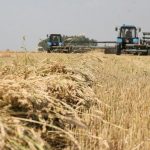 3cadfa63 bad6 44a3 a059 7828fcbefdce