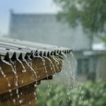 B873fe9d c60a 4d5e 9a19 714020a3bb9c