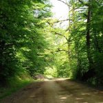 C11c2f81 6f78 4dc7 95f6 56b2a1e95776