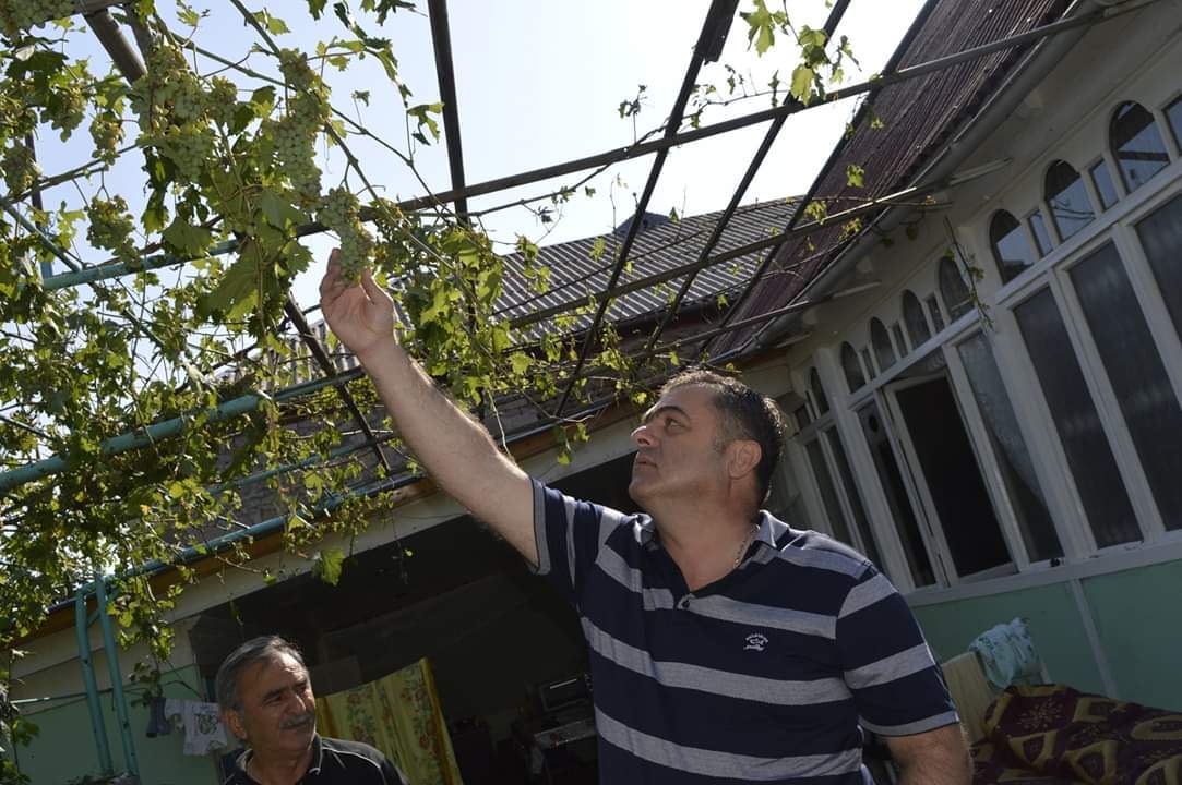 E5477e47 1108 4e70 8b35 687685a3eec5