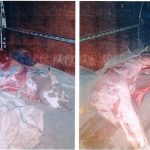 Eee89c16 f27e 41b2 a98c 71cf7db458f0