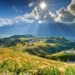 156743c5 90c5 47d5 abf3 baae8cee08e5