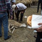 1a895863 3d75 4caa 993e f2ab2c033254