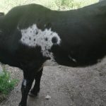 73777280 2c38 4f89 825a 5902148006e8