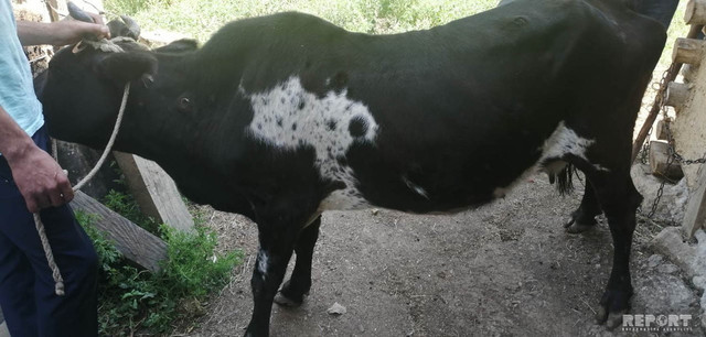 73777280 2c38 4f89 825a 5902148006e8