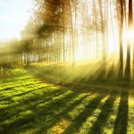 Db4cef6a c5a7 47f8 9efe 49ec2f885cf3