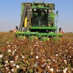 15694851901563440609 367x266