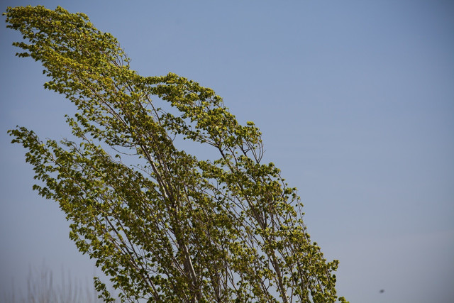 9afff5c3 d309 41aa b470 ab11fbe72dfe