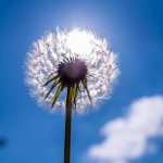 Ec547c62 19f0 41be a442 a064b87fda7e