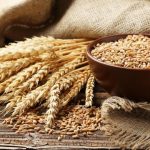 04cda107 cc7d 43d2 b33c c76fbe3c44f1